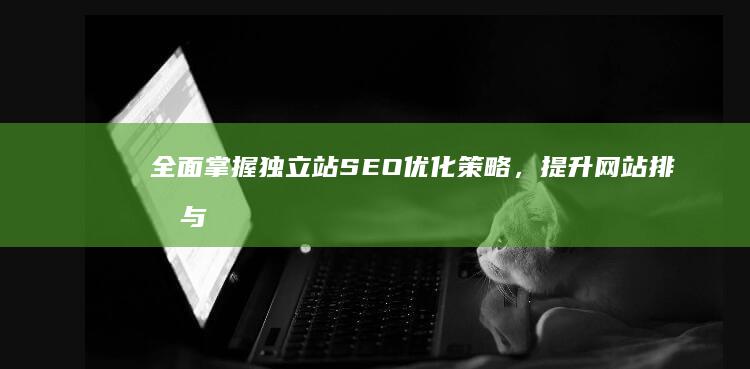 全面掌握独立站SEO优化策略，提升网站排名与流量